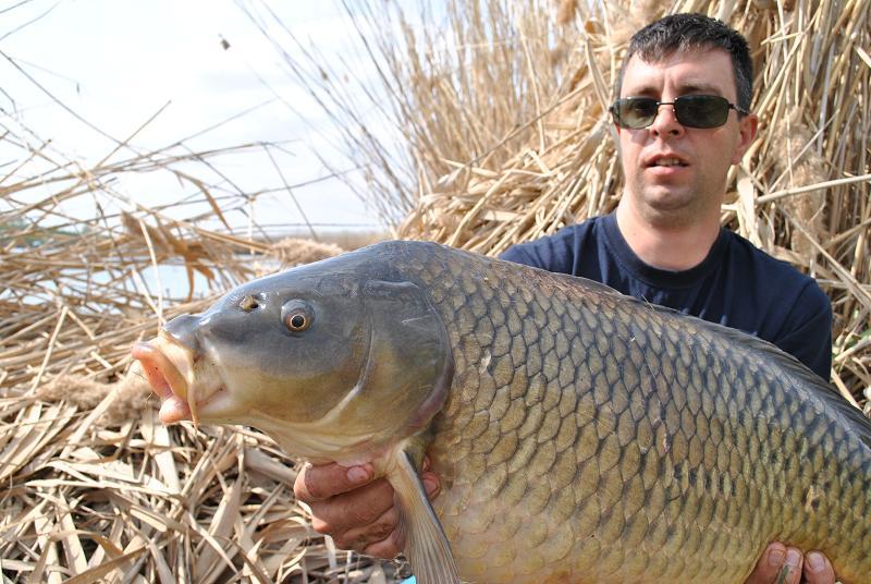 Carping pleaca din APCR